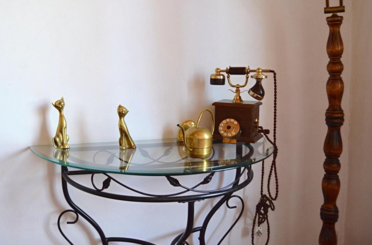 Comme Chez Mamie Albi - Terrasse - Proche Centre Apartment Ngoại thất bức ảnh